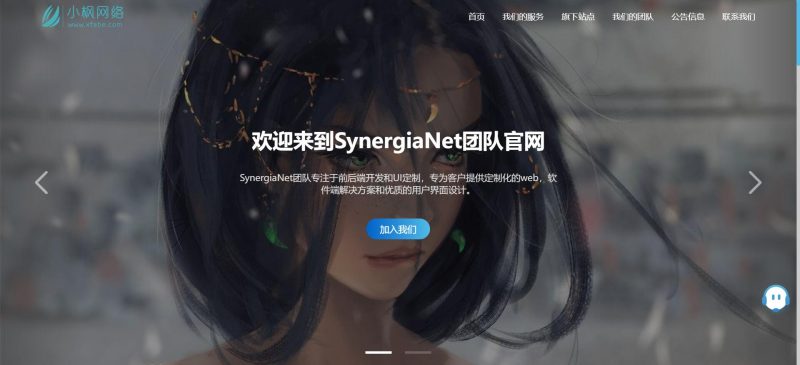 小枫网络SynergiaNet团队官网授权卡密 - 顶茶社